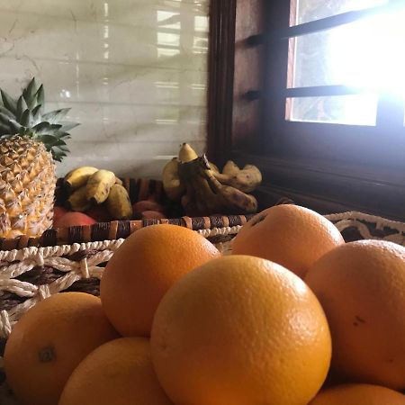 Villa Wodeyarmutt Tropical Luxury Living Sringeri 外观 照片